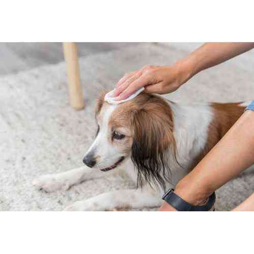 Салфетки Trixie для очистки универсальные из алоэ пластиковая банка 30 шт/уп Киев