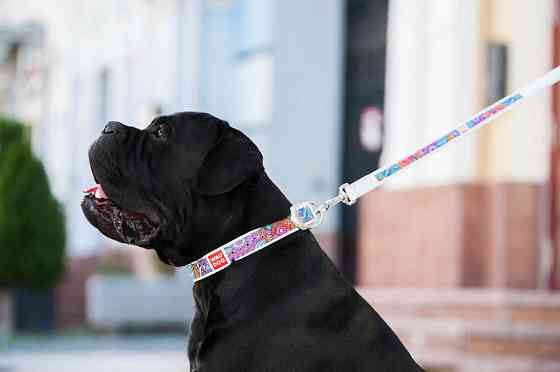 Нашийник для собак шкіряний WAUDOG Design з QR паспортом, малюнок "Літо", Ш 35 мм, Д 46-59 см, білий Вінниця