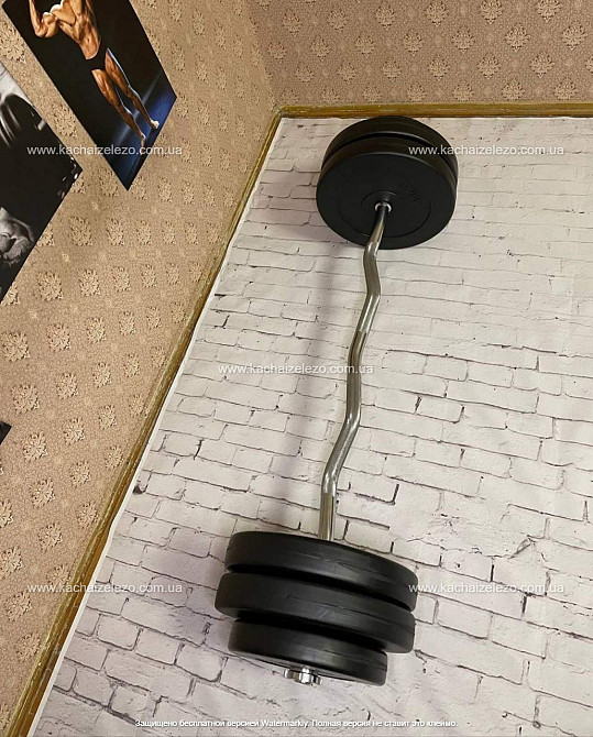 Штанга наборная W-образная на 57 кг Гантели, гири, штанги и диски с пластиковым покрытием Киев - изображение 3