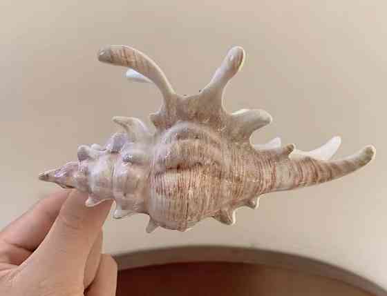 Заколка-крабик 