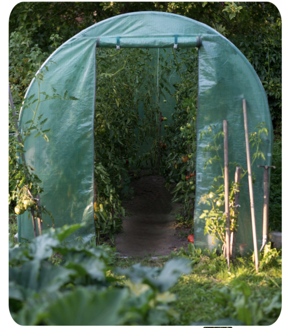 Теплиця парник садовий Plonos 6m2 2x3м Польща Київ - фото 4