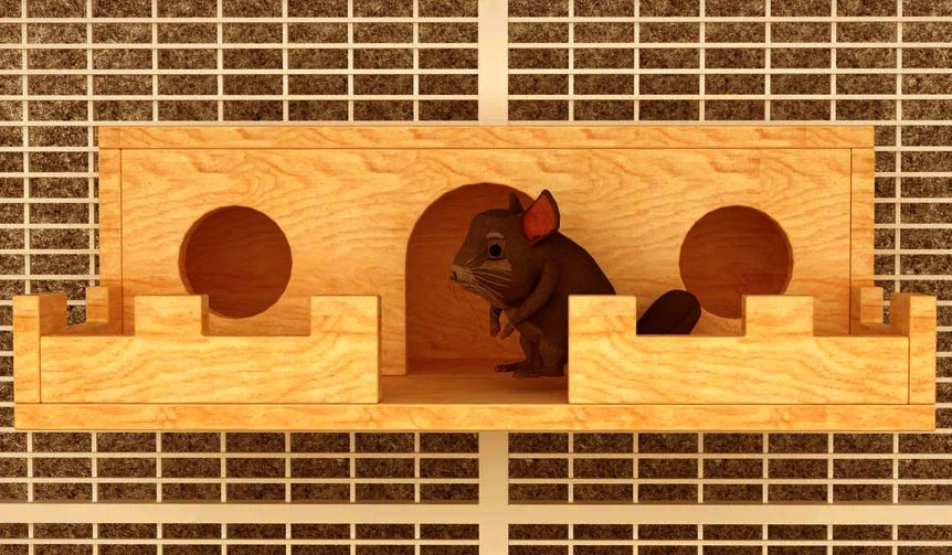 Домик для шиншиллы 