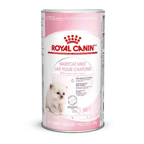 Молоко для новонароджених кошенят ROYAL CANIN BABYCAT MILK 0.3 кг Київ