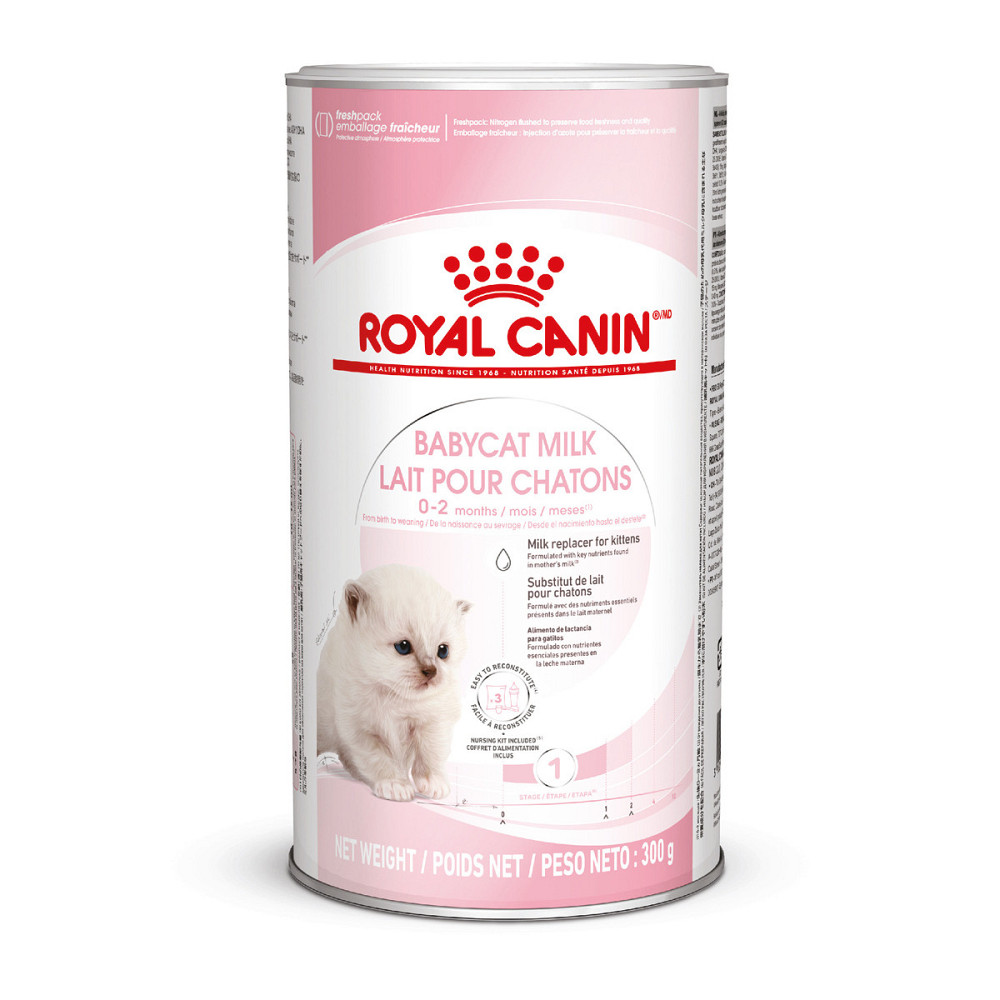 Молоко для новонароджених кошенят ROYAL CANIN BABYCAT MILK 0.3 кг Київ - фото 1