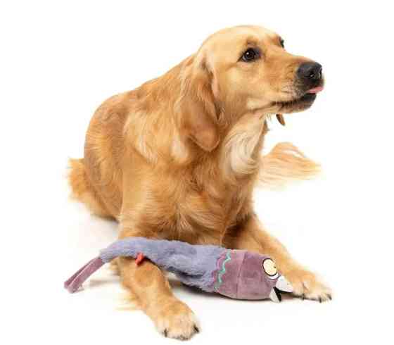 М'яка іграшка для собак FuzzYard Голуб Луцьк