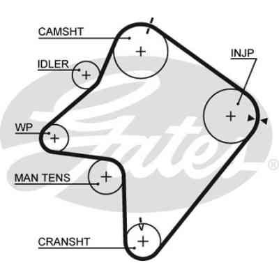 Ремень ГРМ Gates 5354XS Винница