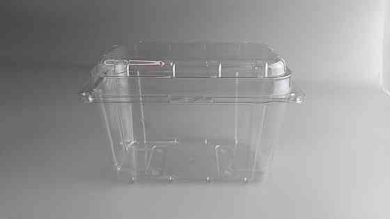 Харчові паковання поліпропіленова на 1 кг із поєднаною кришкою 190х117х1251 арт TL1-1000/94/27 (50 шт) Харків