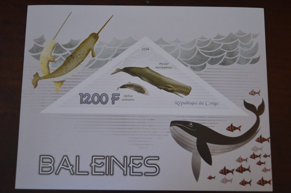 Конго. Фауна. Личности. Блок. 2014 р. (А-34) Полтава - фото 1