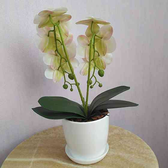 Штучна латексна міні орхідея в білому пластиковому кашпо на дві гілки біла Дніпро