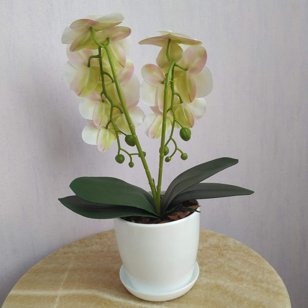 Штучна латексна міні орхідея в білому пластиковому кашпо на дві гілки біла Дніпро - фото 3