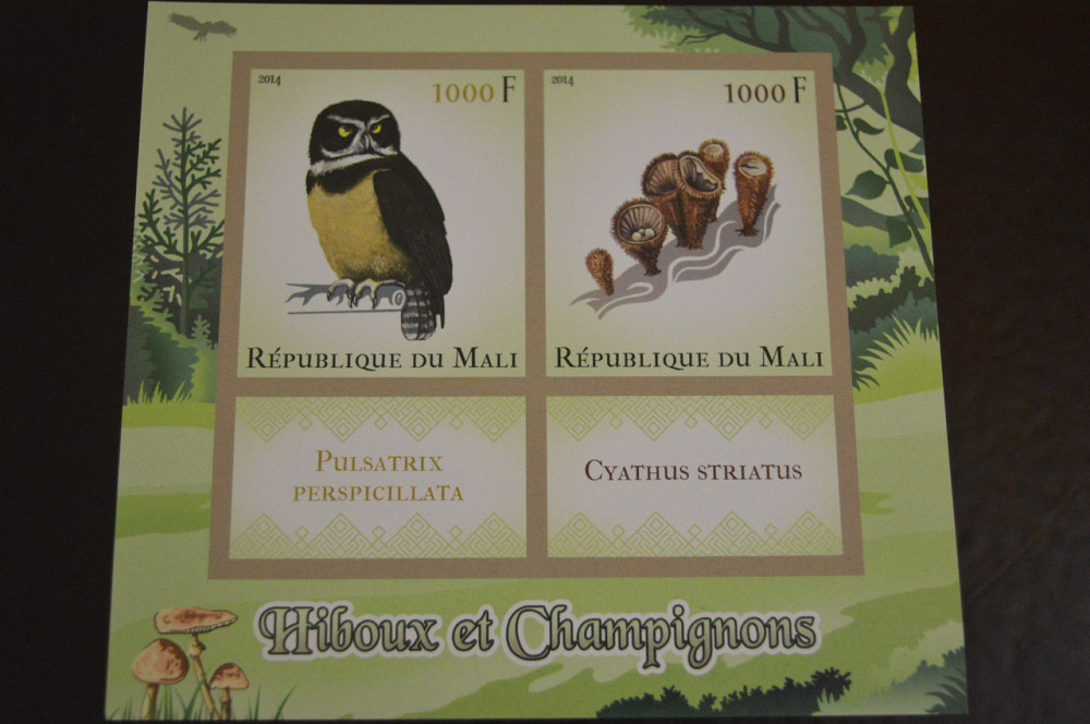 Мали. Фауна. Блок. 2014 год (А-20) Полтава - изображение 1