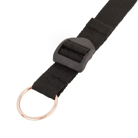 Фіксатор рук і ніг для ліжка Rosy Gold - Under-Mattress Restraint Set Львов