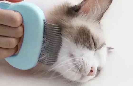 Расческа кошек и собак, щетка для животных, цвет голубой, размер 9*9см Киев