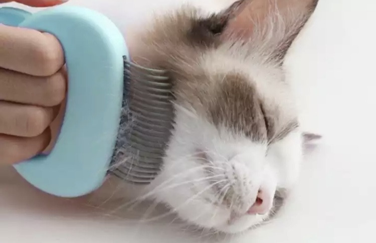 Расческа кошек и собак, щетка для животных, цвет голубой, размер 9*9см Киев - изображение 1