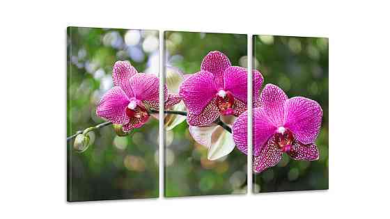 Модульна картина Квіти Аrt-117_3А Київ