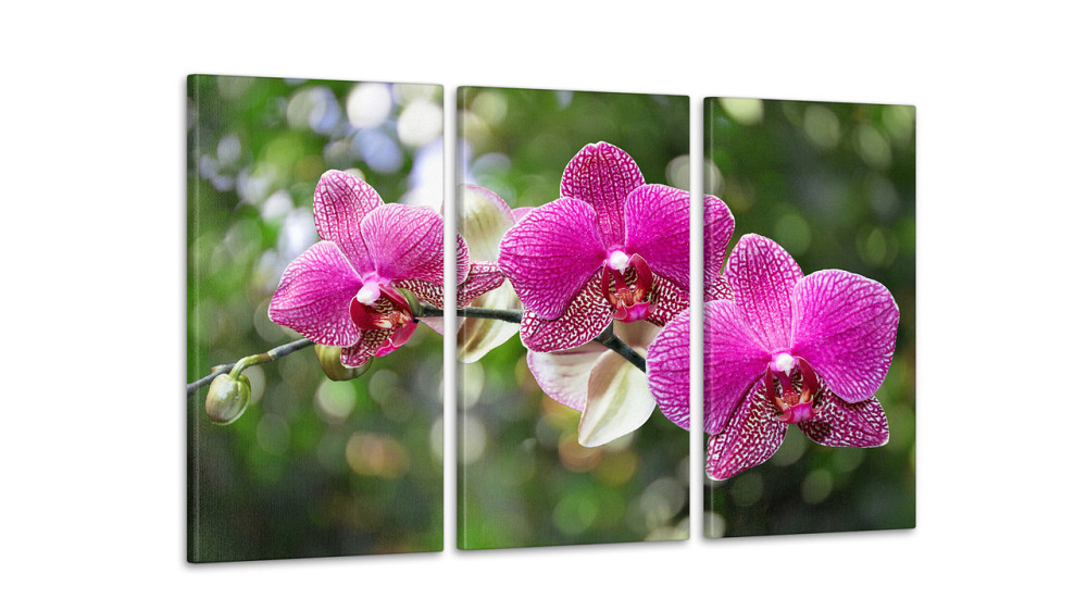 Модульна картина Квіти Аrt-117_3А Київ - фото 2