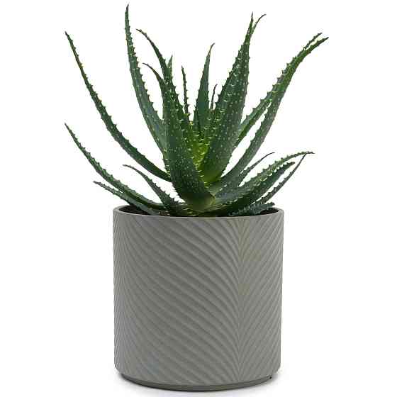 elemi Кашпо для квітів керамічне elemi "Листок" (темно-зелений) 19" круглий 4,5 л Коломыя