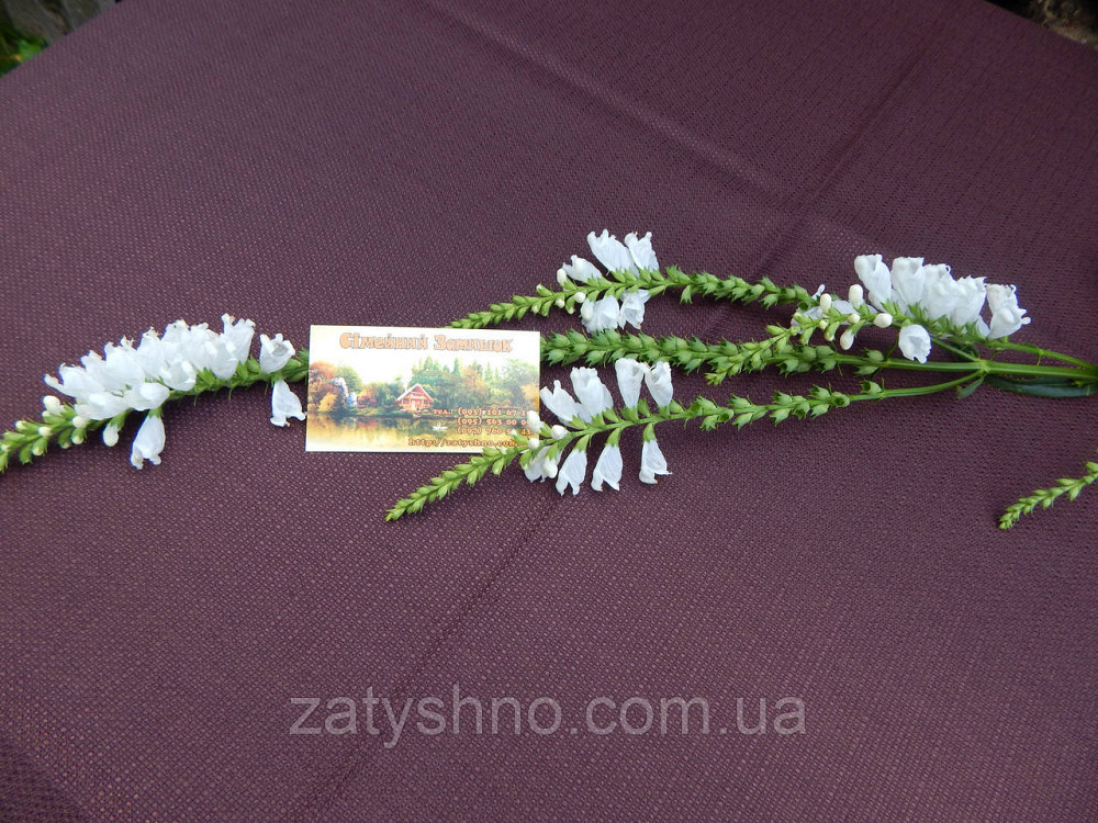 Скатерть коричневая с ажуром по боках Киев - изображение 5