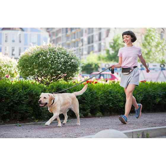 Повідець "Еволютор" (ширина 25 мм, довжина 210 см) чорний Коломыя