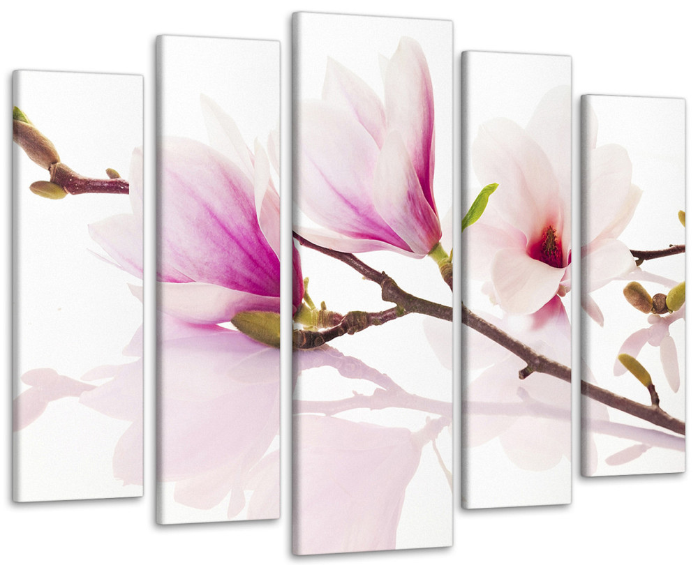 Модульна картина Квіти Магнолія Art-20_5 Київ - фото 1