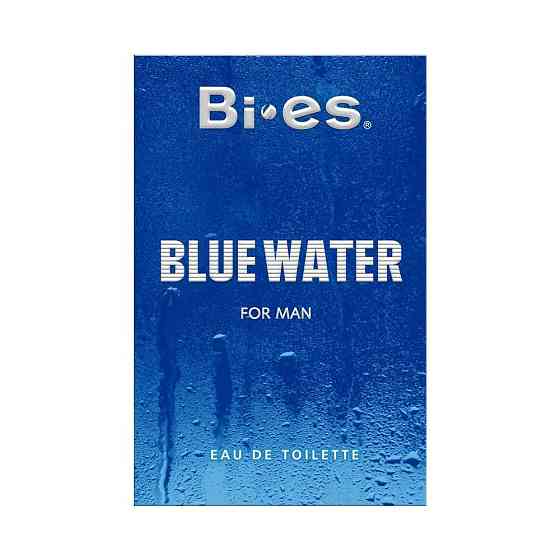 Туалетна вода чоловіча Bi-Es Blue Water 100 мл Біес Блу вотер Запоріжжя