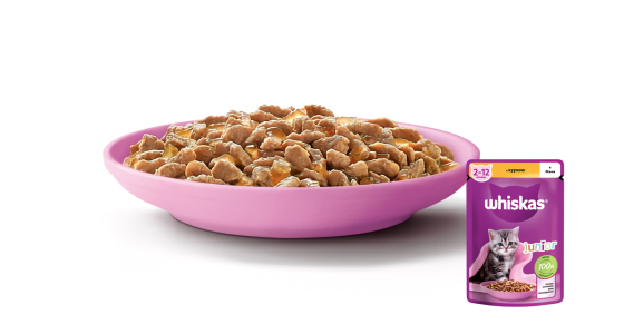 Whiskas (Віскас) Junior консерва для кошенят з куркою в желе 85 г Вінниця
