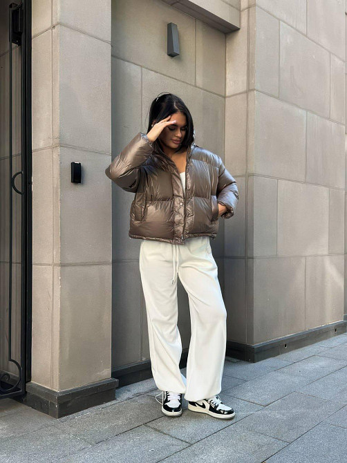 Женская короткая куртка дутик с карманами и капюшоном плащевка перламутр на синтепоне Шоколад, 42/44 Одесса - изображение 3