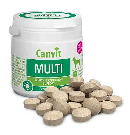 Canvit Multi (Канвіт Мульті) вітамінна харчова добавка для будь-яких собак 100 р. Запоріжжя