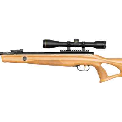 Пневматична гвинтівка Beeman Polar Bear GR, OП 4х32 (10620GP) Вінниця