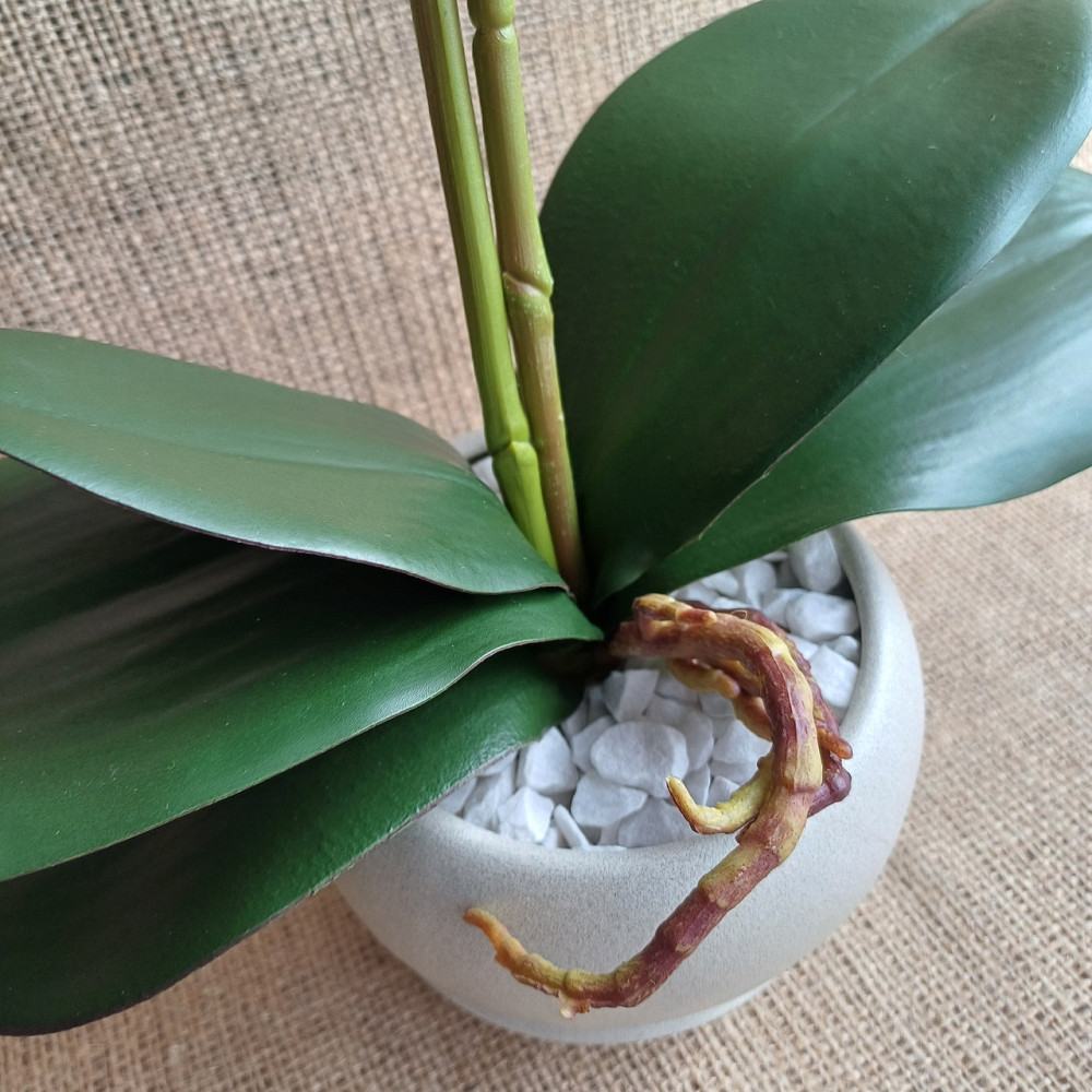 Штучна латексна орхідея VIP у пудровому керамічному кашпо на дві гілки біла в крапку Дніпро - фото 5