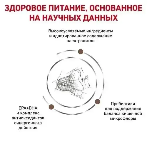 Royal Canin Gastrointestinal Fibre Response (Роял Канін Гастроінтестинал Файбер Респонс) для кішок у разі закрепів Запоріжжя - фото 4