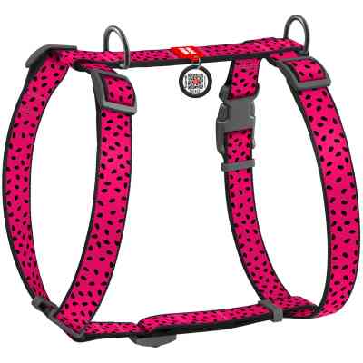 Шлея для собак WAUDOG Nylon з QR паспортом анатомічна H-подібна "Кавун" M (5561) Вінниця