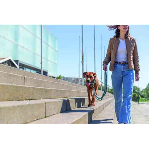 Повідок Trixie Cavo для собак регульований S–M 2 м діаметр 12 мм аква-графіт Київ