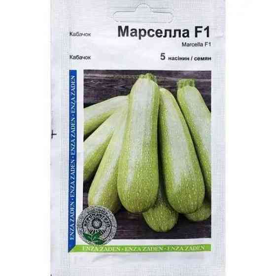 Семена Кабачок Марселла F1 5 семян Enza Zaden Винница