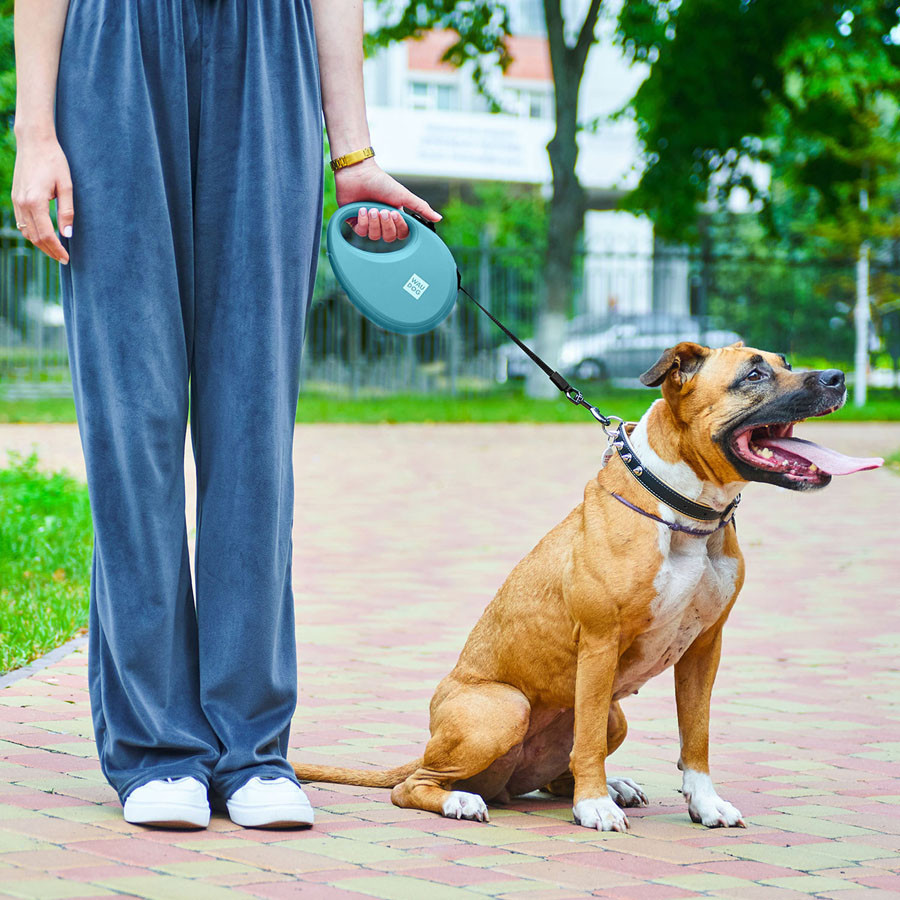 Поводок-рулетка для собак WAUDOG R-leash с контейнером для пакетов, светоотражающая лента, L, до 40 кг, 5 м, голубой Киев - изображение 8