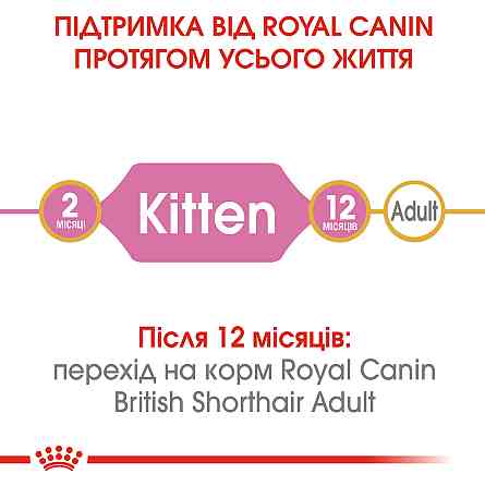Корм для кошенят ROYAL CANIN KITTEN BRITISH SHORTHAIR 10.0 кг Київ
