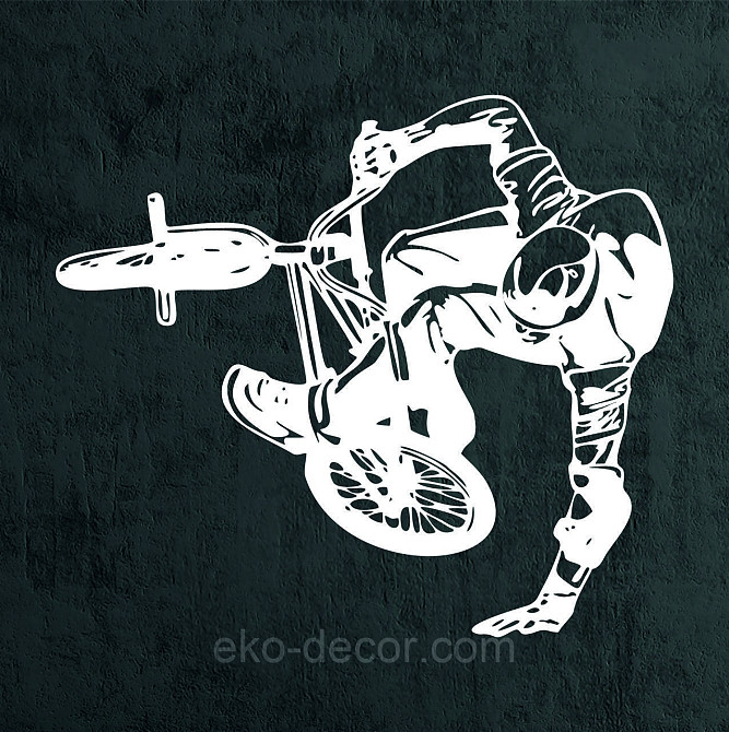 Декоративне настінне Панно «Велофрістайл», Декор на стіну Київ - фото 7