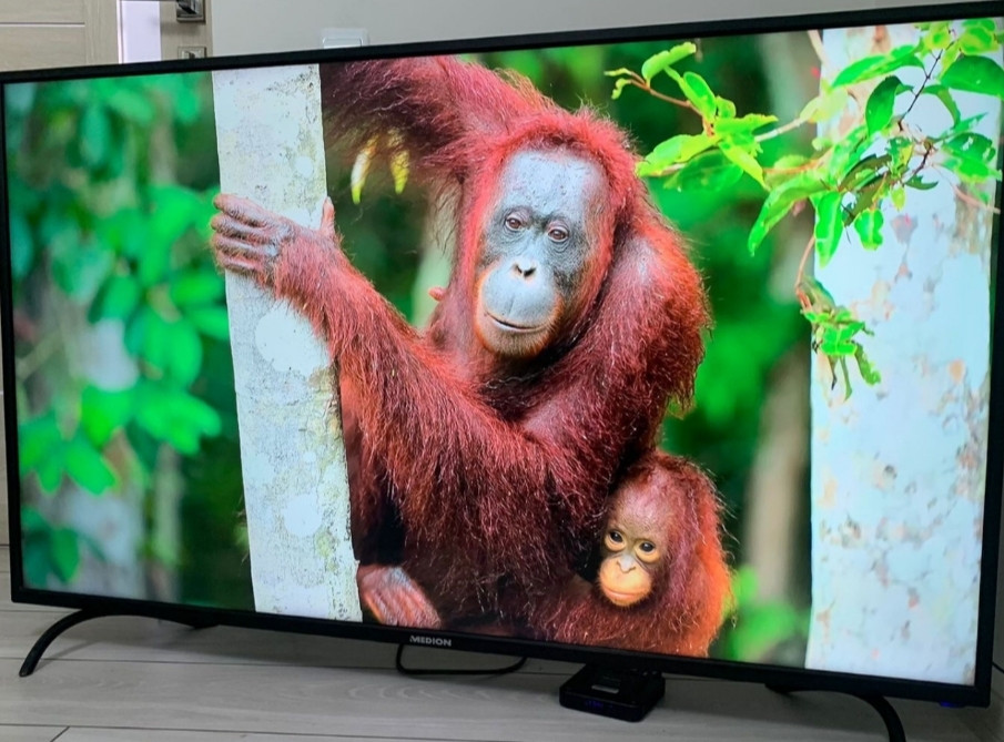 Телевізор Medion 55 4K Київ - фото 7