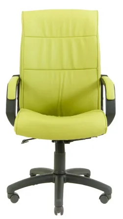 Офісне Крісло Керівника Richman Rio Fly 2234 Пластік Річ М1 Tilt Зелений Київ