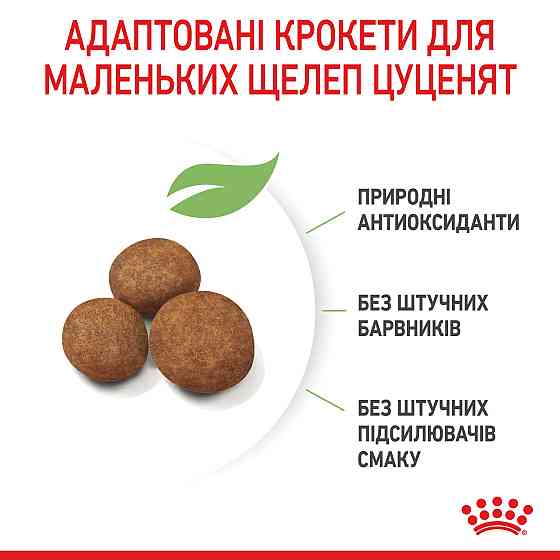 Корм для цуценят гігантських порід ROYAL CANIN GIANT PUPPY 1.0 кг Київ