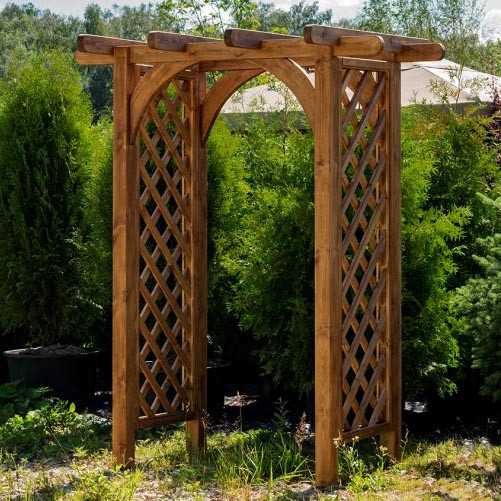 Пергола садова "Пакарунг" мускат Миколаїв - фото 1