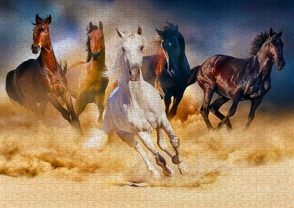 Пазл Коні, що біжать пустелею - Horses Running in the Desert (Enjoy-1356) Киев - изображение 5