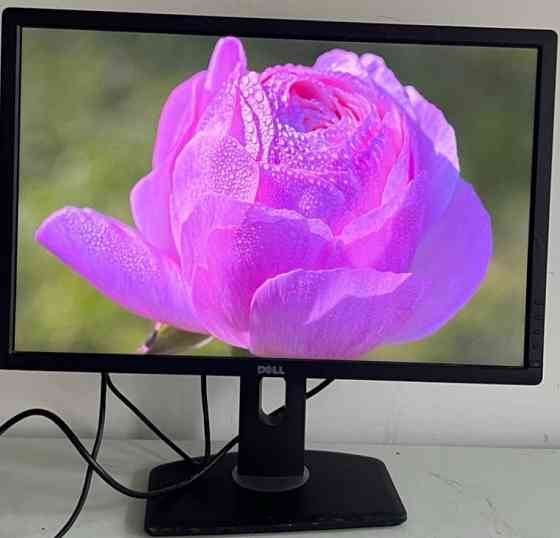 Монитор: DELL - 24