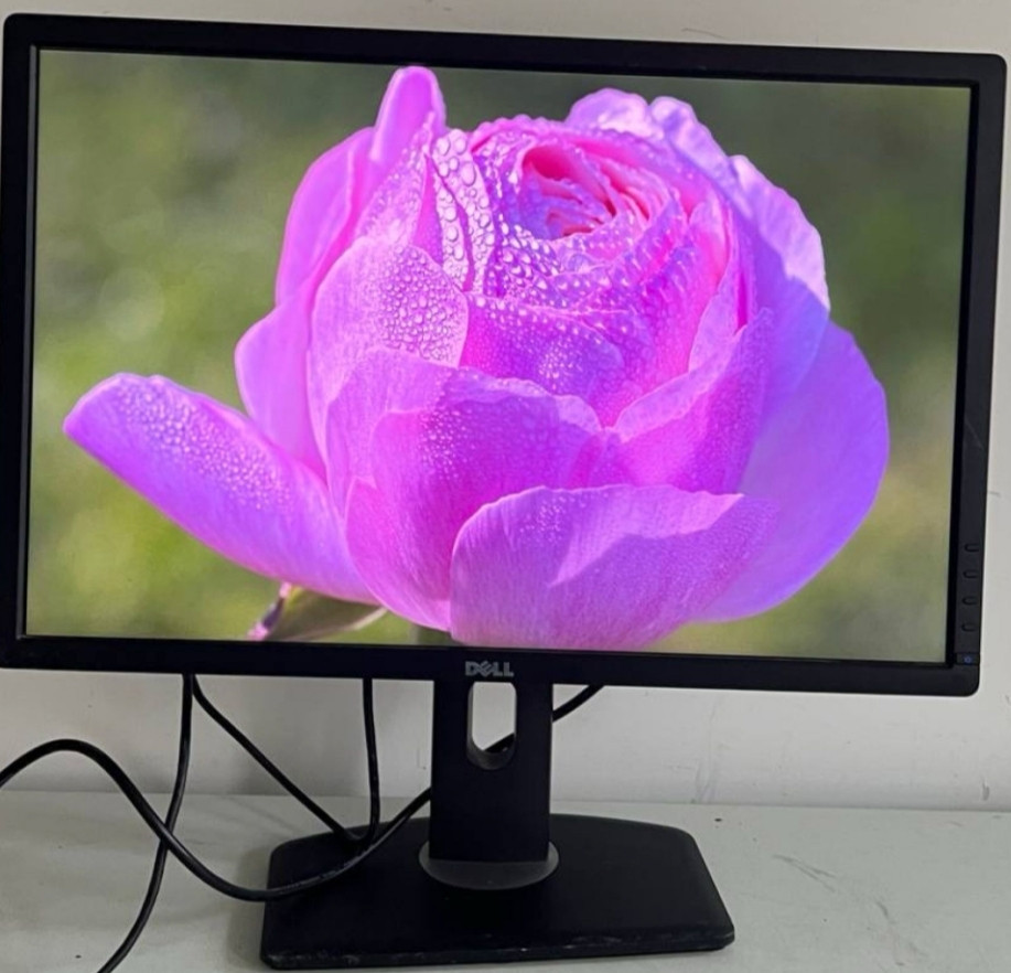 Монитор: DELL - 24