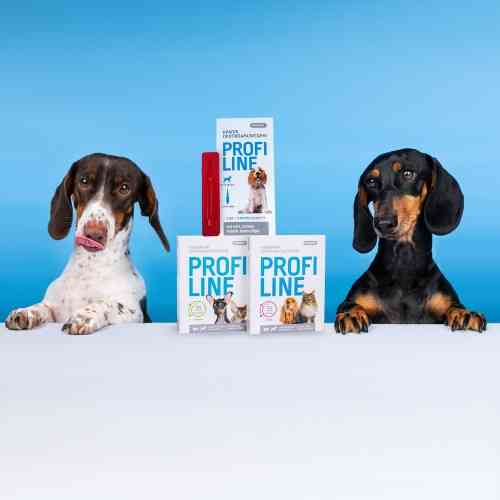 Ошейник Provet PROFILINE для кошек и собак инсектоакарицид зеленый 35 см Киев