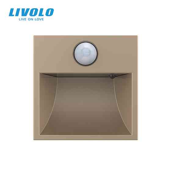 Механізм автоматичний світильник для сходів підлоги датчик руху темряви, золотий, 2700K, 220В, 0.35Вт, огляд 120°, затримка 40с, дальність 4м (VL-FCL- Коломия