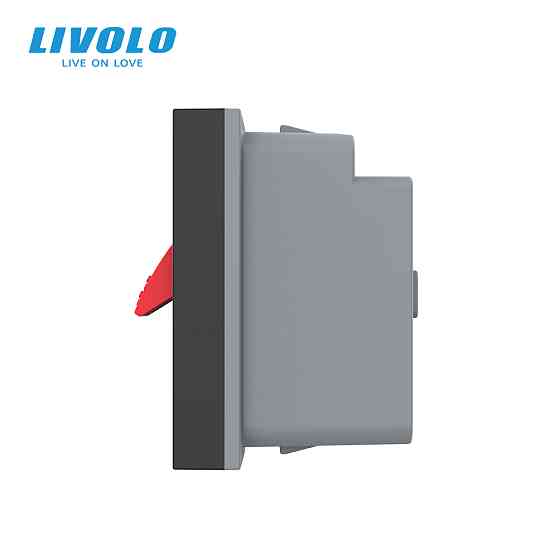 LIVOLO Hi-Fi аудіо розетка LIVOLO (Banana), чорна, для колонок і підсилювачів, модуль 0.5 поста Коломия