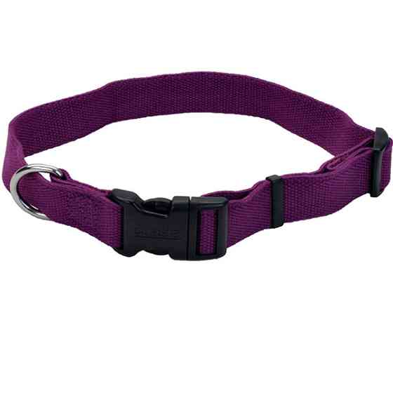 Coastal New Earth Soy Dog Collar КОСТАЛ СОЄВИЙ ЕКОНАШИЙНИК для собак Київ