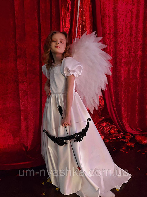 Крылья Ангела большие сердцем Кривой Рог - изображение 8