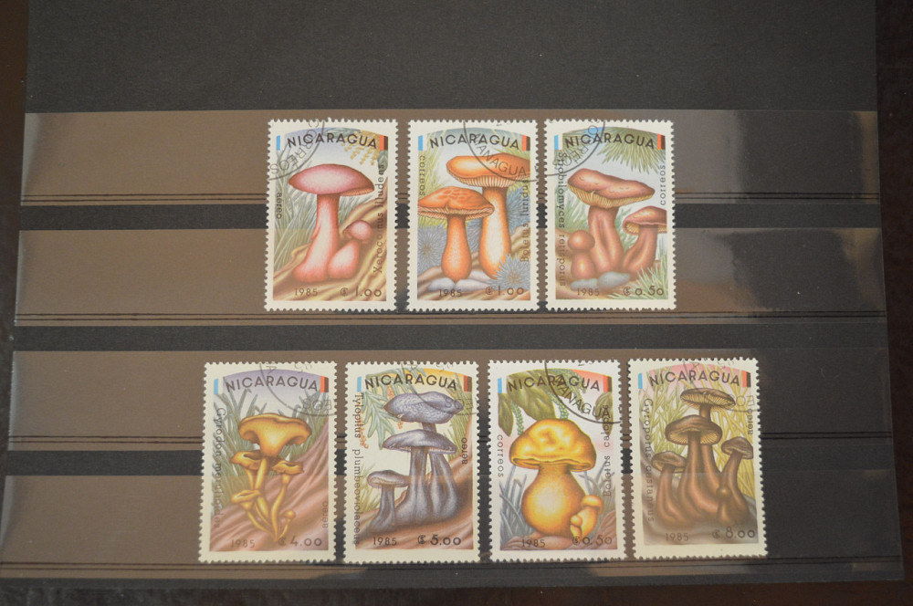 Марки. Серия. Никарагуа. (Гаш.) Полтава - изображение 1